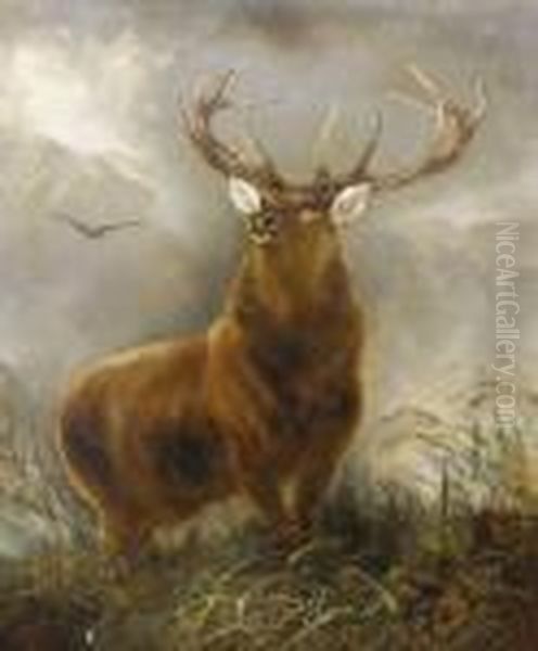 The Stag - view 1