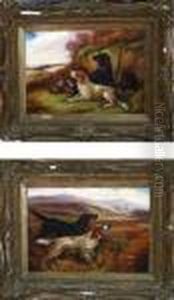 Pointers On A Moor