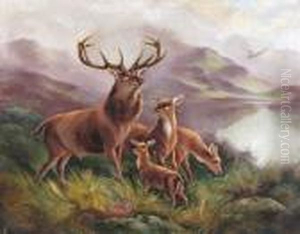 Stag And Deer By A Lake In The Highlands - view 1