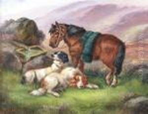 Setters And Ponies In A Highland Landscape