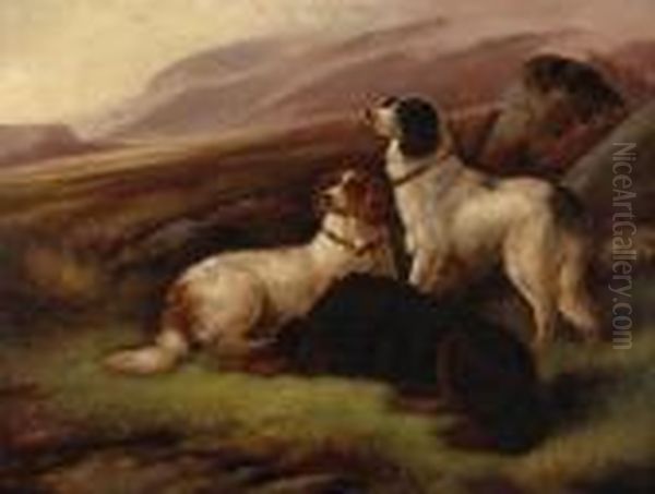 Three Setters In The Field - view 1