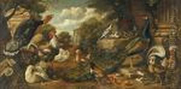 Aves De Corral - view 1