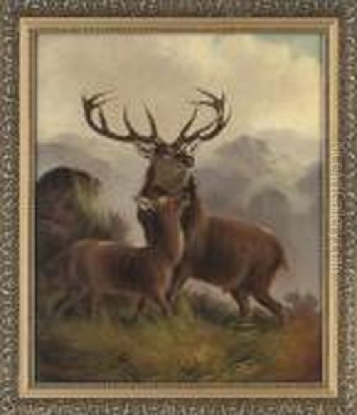 Deer In The Highlands - view 1