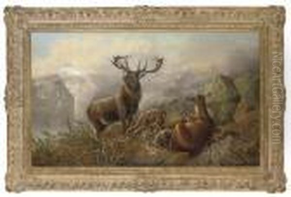 Deer In The Highlands - view 1