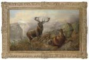 Deer In The Highlands by Robert Cleminson