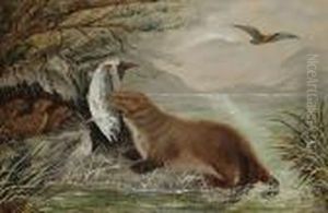 An Otter Bringing Food To Its Young