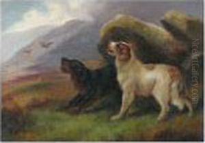 Spaniels Flushing Out Game, And Another Similar by Robert Cleminson