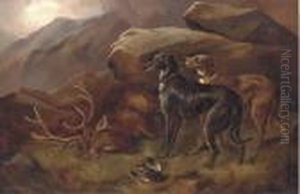 Deer Hounds With A Stag - view 1