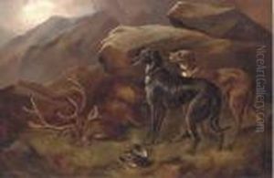Deer Hounds With A Stag by Robert Cleminson