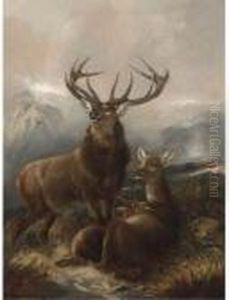 A Stag With Hinds by Robert Cleminson
