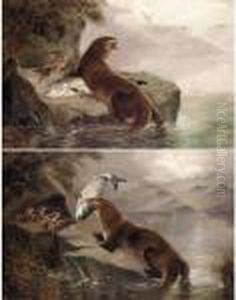 An Otter Bringing A Salmon To Its Young; An Otter Guarding Its Young