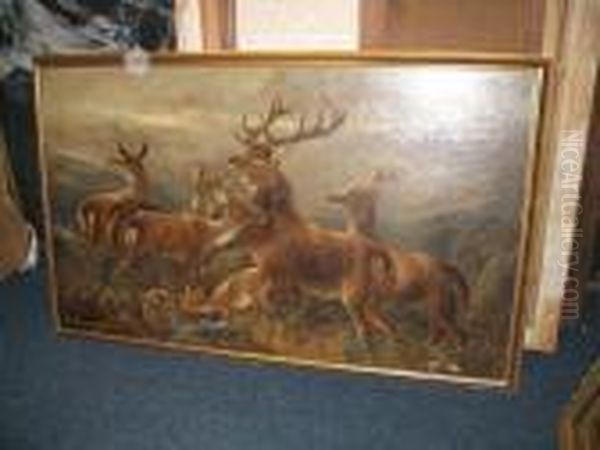 Stag And Hinds - view 1