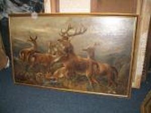 Stag And Hinds