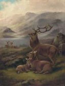 A Stag With Hinds By A Loch