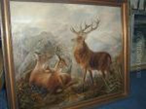 A Stag And His Herd In A Snow-capped Highland Landscape