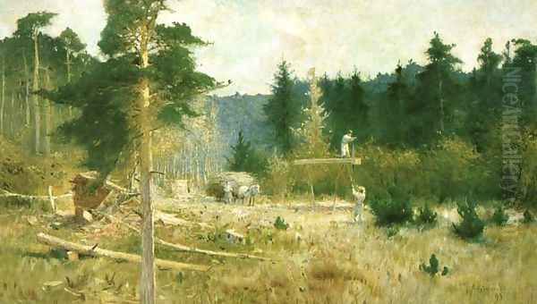 Forest Clearing - view 1