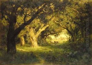 In the Pasture