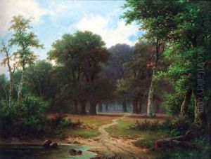 A path through a woodland