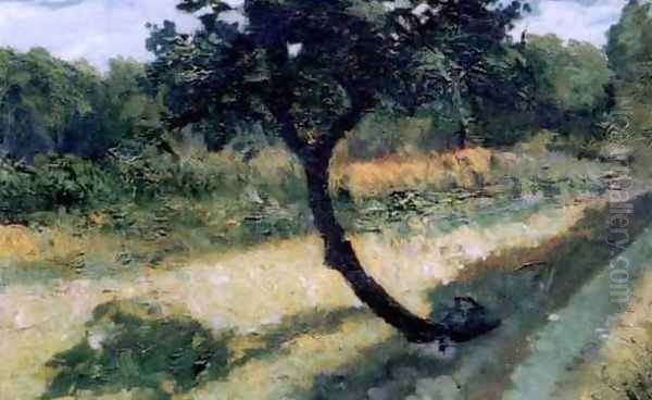 Tree in the Field (Arbre dans le champ) - view 1
