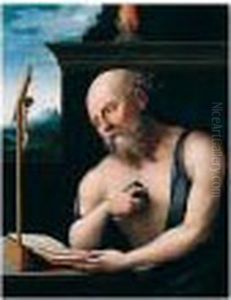 Saint Jerome by Pieter Coecke Van Aelst