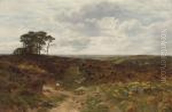 Near Ringwood, Hampshire - view 1