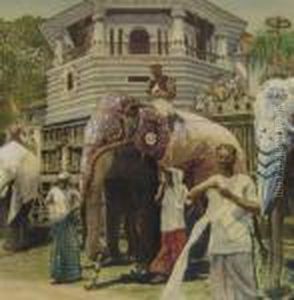 The Temple Of The Tooth, Kandy