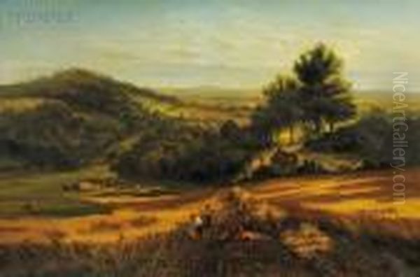 A Surrey Cornfield - view 1