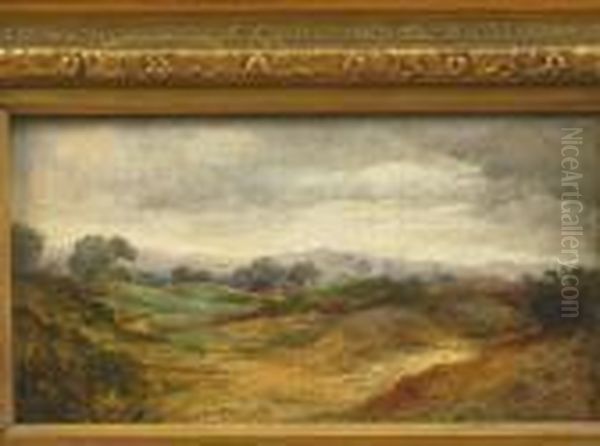 Rural Landscape - view 1