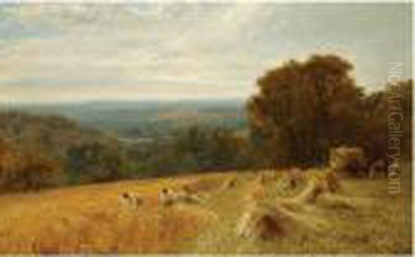 Gathering In The Wheat Harvest,
Between Petworth Andfittleworth, Near Midhurst, South Downs, Sussex - view 1