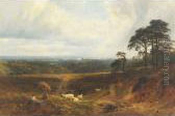 A Surrey Landscape - view 1
