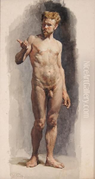 Nudo Maschile - view 1