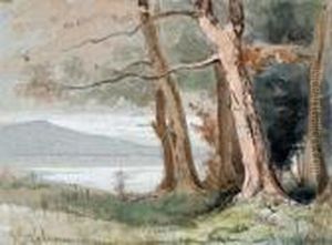 Paesaggio Lacustre Boschivo by Enrico Coleman