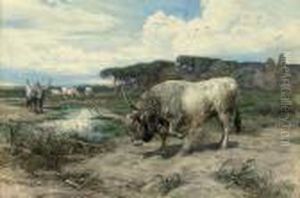 Long-horned Cattle In The Roman Campagna