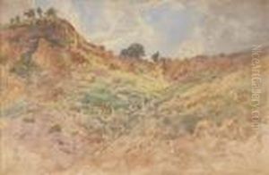 Paesaggio Collinare by Enrico Coleman