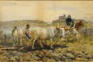 Oxen Team In The Countryside by Enrico Coleman