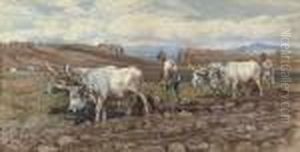 A Plough Team On The Roman Campagna by Enrico Coleman