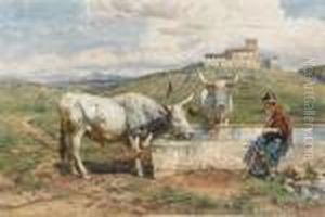 Boy And Oxen Watering At A Trough In The Roman Campagna by Enrico Coleman