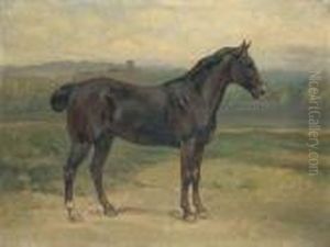 Cavallo Nel Paesaggio by Enrico Coleman