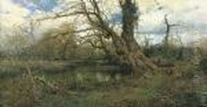 Stagno A Maccarese Stagno A Maccarese