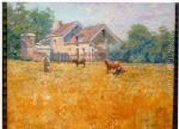 Vita In Campagna - view 1