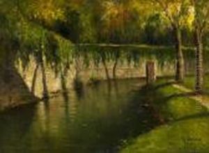 Ansa Di Fiume