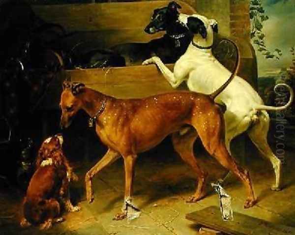 Krugers Dogs - view 1