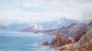 Blick Auf Diezitadelle Von Calvi Auf Korsika