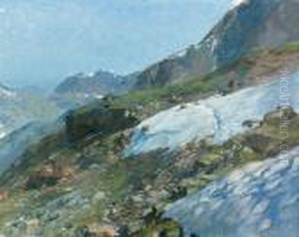 Schneefeld In Den Alpen. - view 1