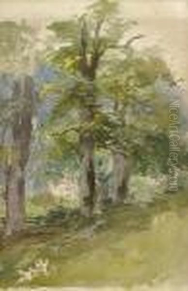 Baumlandschaft. - view 1