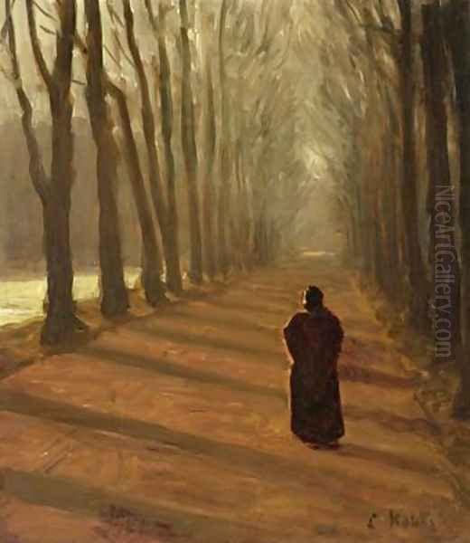 Avenue at Kuechengraben in the Karlsaue Park Kassel - view 1