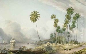Cocoa Nut Walk on the Coast Near Runaway Bay by Joseph Bartholomew Kidd