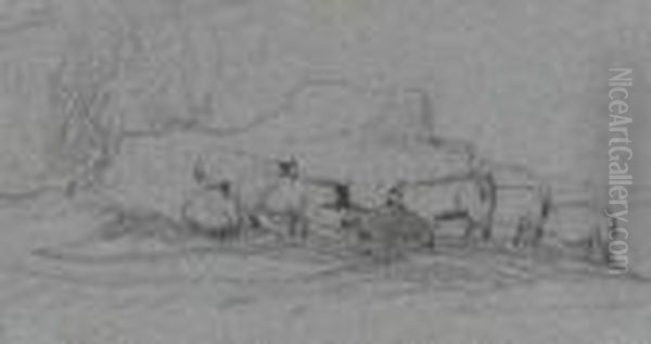 Sheep Grazing - view 1
