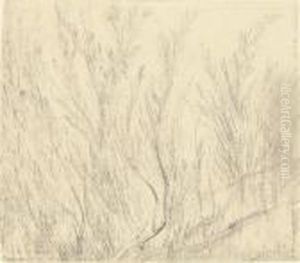 Study Of Osiers by John Constable