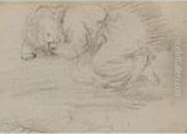 A Study Of A Sleeping Child - view 1